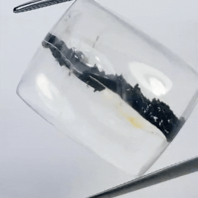 21.75ct Quartz With Inclusion 20x16mm