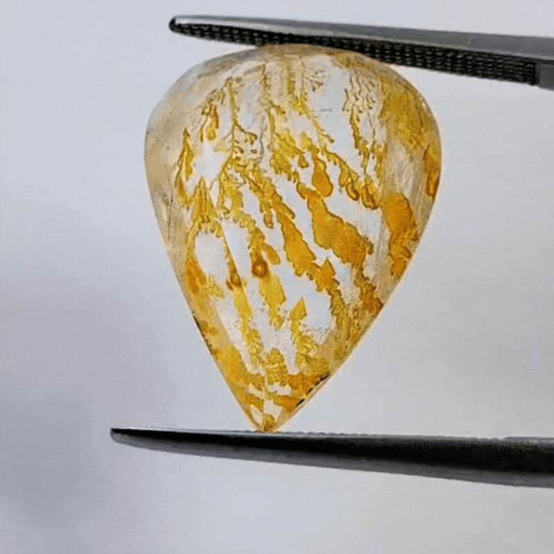 10.10ct Dendrite 20x14mm