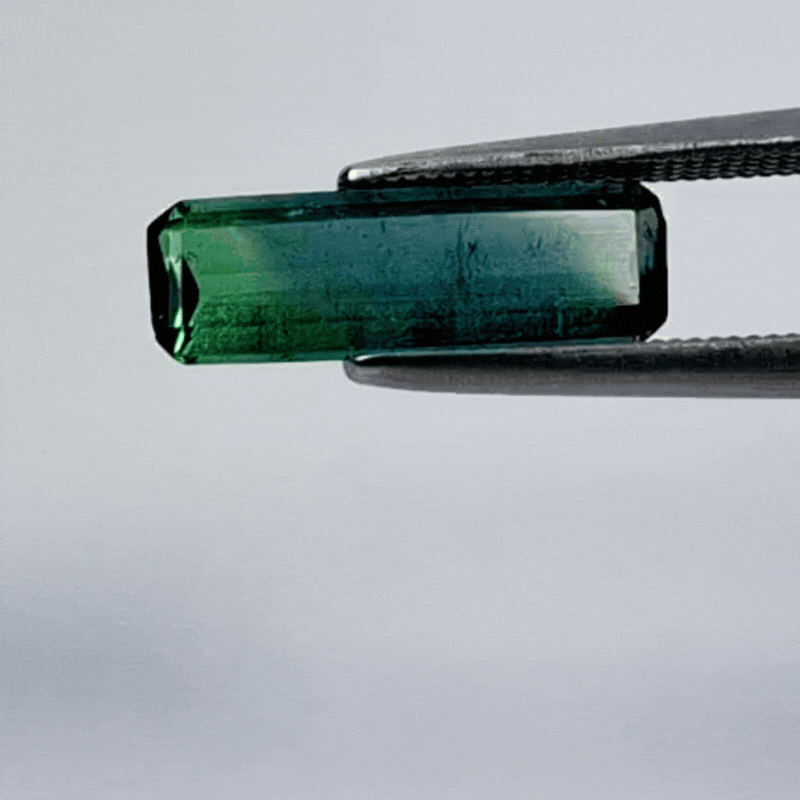 3.20ct Tourmaline Bicolor 14x4.5mm 14x4mm
