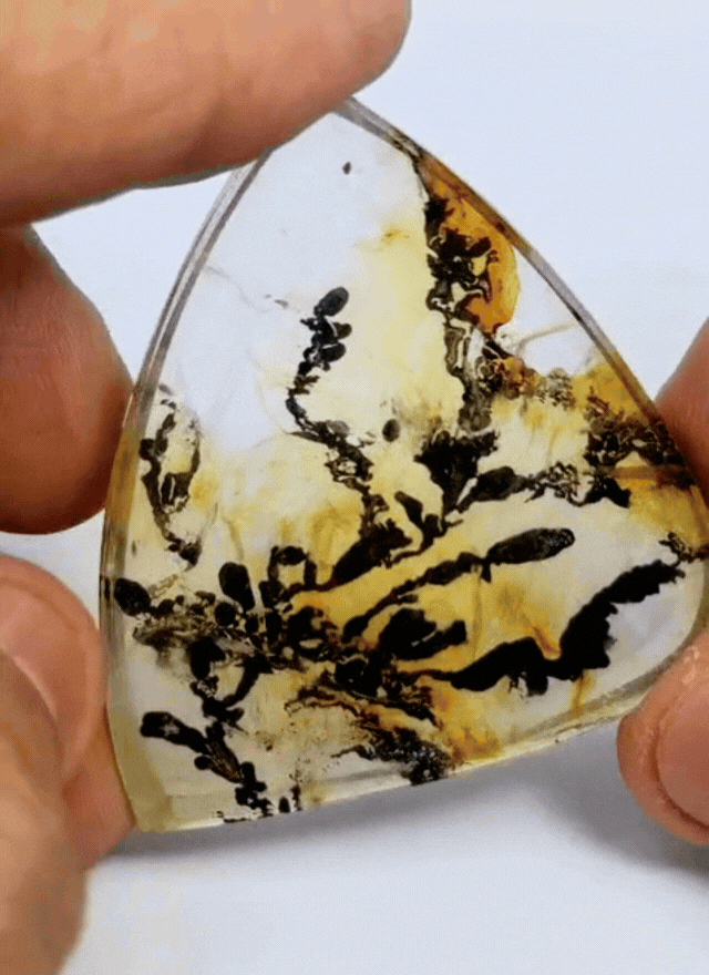 152ct Dendrite 52x41mm