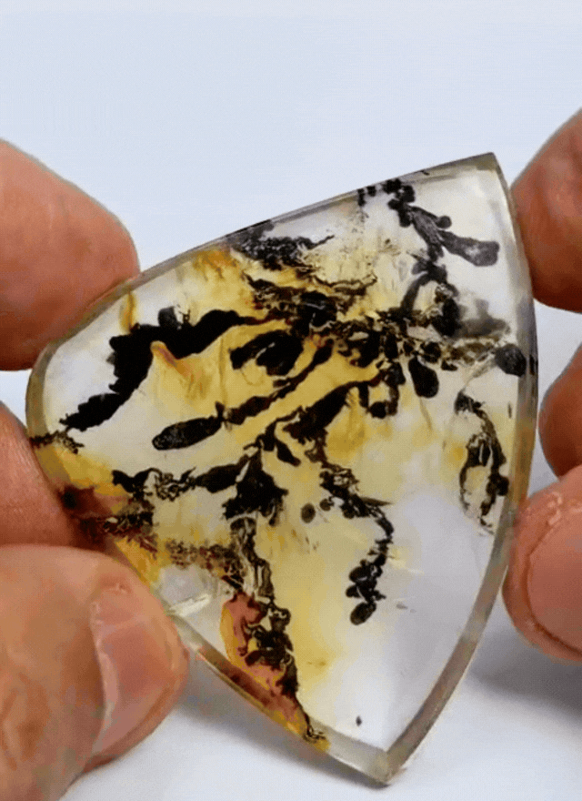 152ct Dendrite 52x41mm