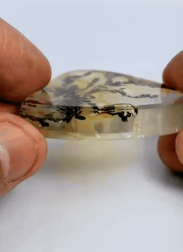 152ct Dendrite 52x41mm