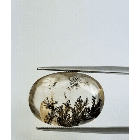 19.30ct Dendrite 20x13mm 20x14mm