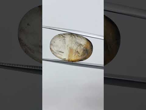 15.15ct Dendrite 21x14mm