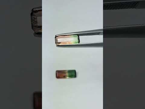 1.41ct Tourmaline bicolor 10x4mm / 10x3.5mm
