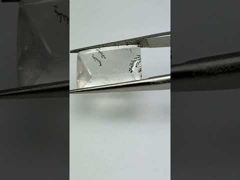 8.11ct Dendrite 14x10mm