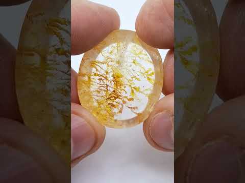 53.95ct Dendrite 30x27mm