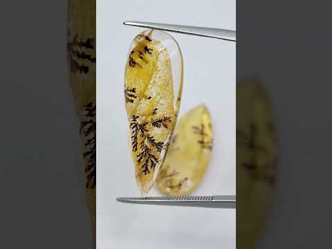 36.50ct Dendrite