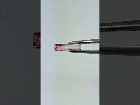 1.53ct Tourmalines bicolor 12x4mm / 10x3mm