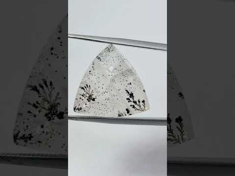 36.90ct Dendrite 20mm