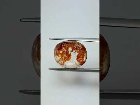 11.79ct Dendrite 17.5x14mm
