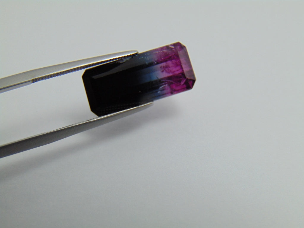 10ct Tourmaline Bicolor 18x8mm