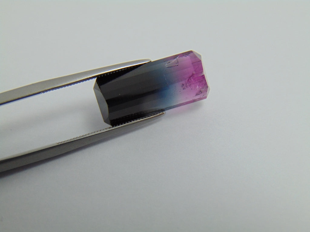 10ct Tourmaline Bicolor 18x8mm