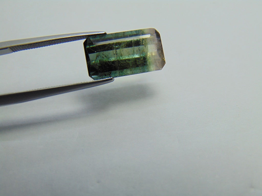 6.05ct Tourmaline Bicolor 15x8mm