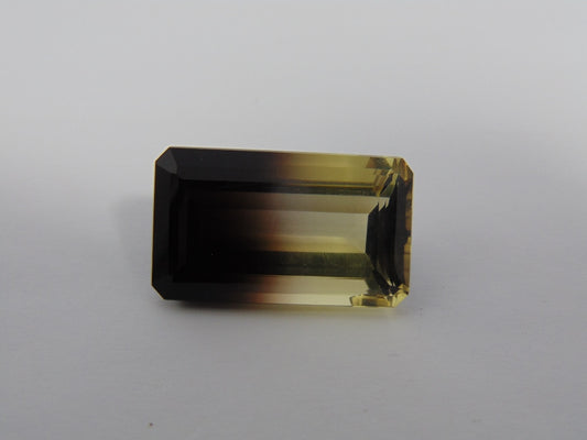 59.20cts Quartz (Green Gold) Bicolor