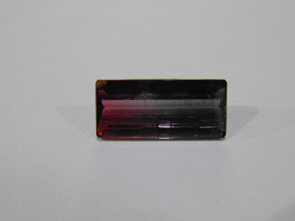 12.20ct Tourmaline Bicolor 23x10mm