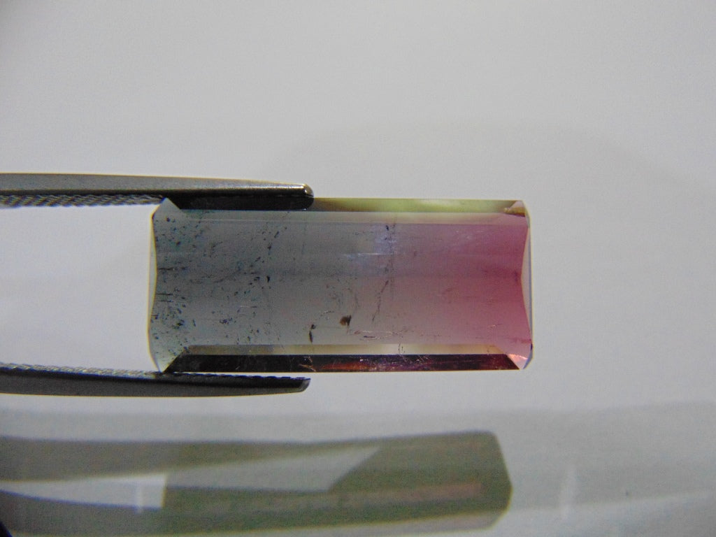 12.20ct Tourmaline Bicolor 23x10mm