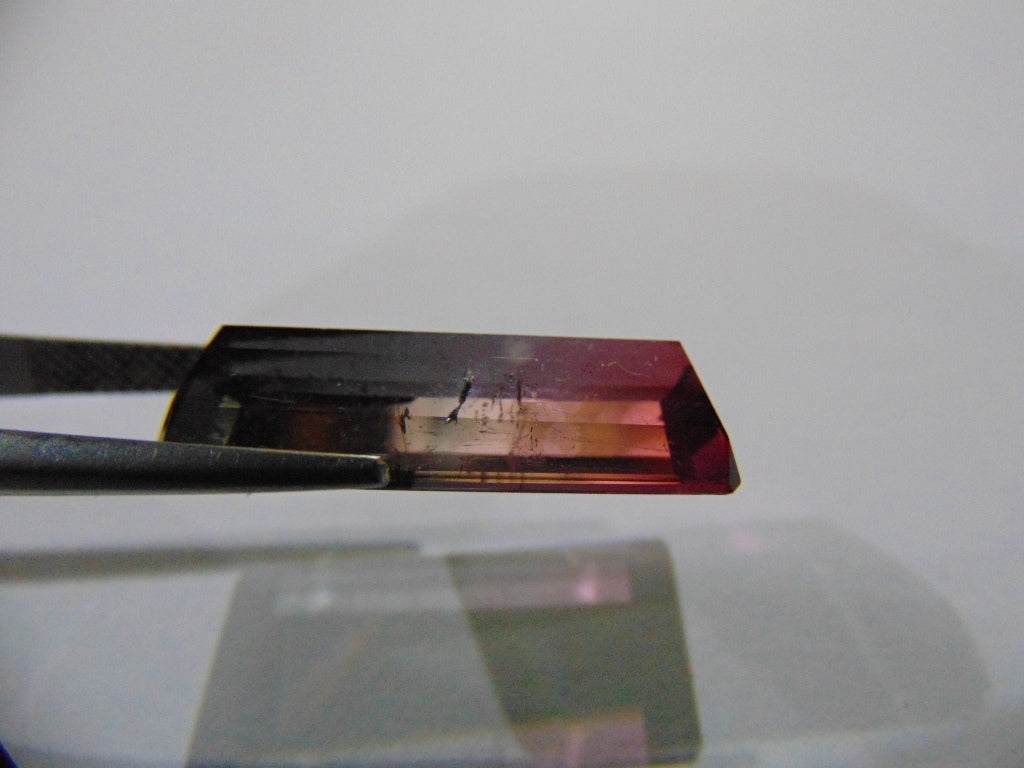 12.20ct Tourmaline Bicolor 23x10mm