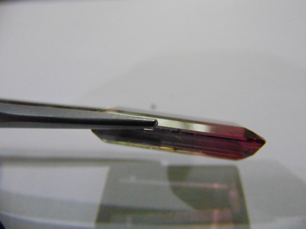 12.20ct Tourmaline Bicolor 23x10mm