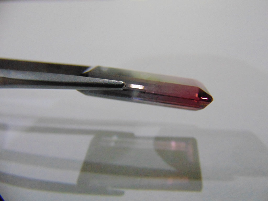 12.20ct Tourmaline Bicolor 23x10mm