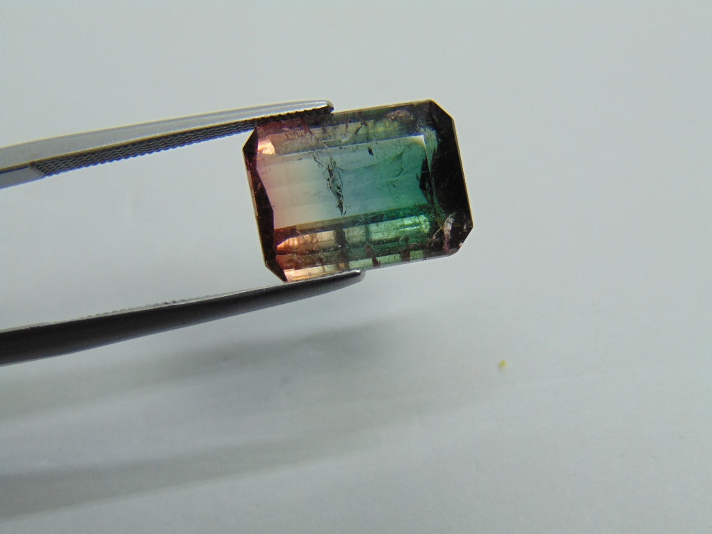 5.99ct Tourmaline Bicolor 13x9mm