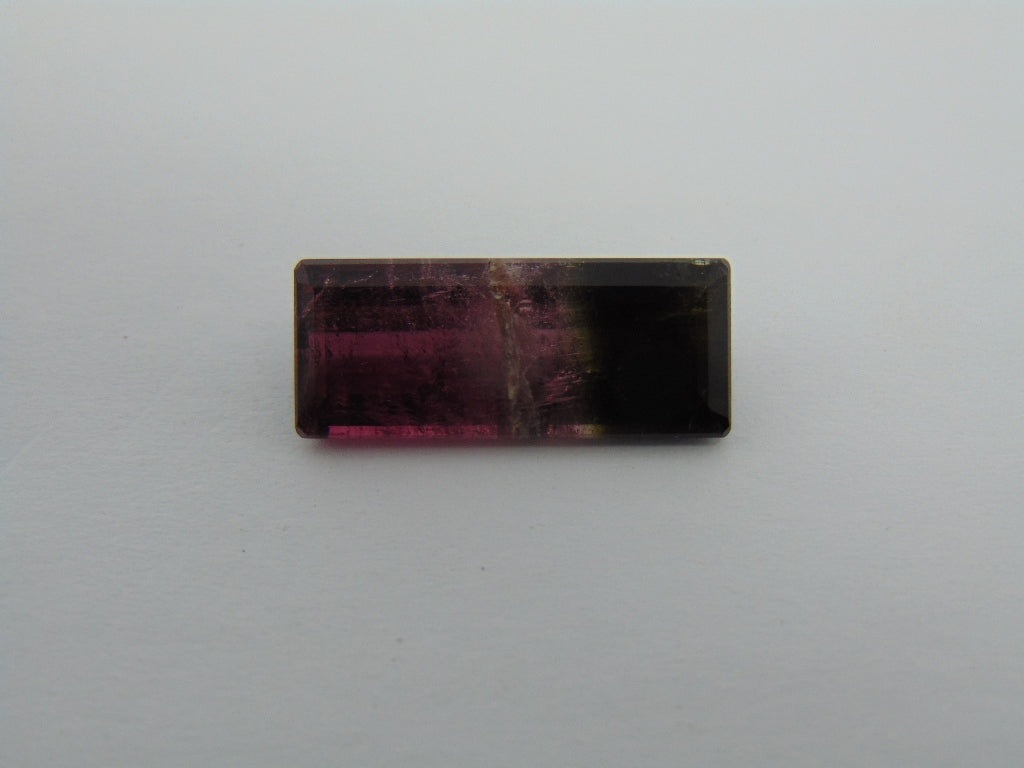 8cts Tourmaline (Bicolor)