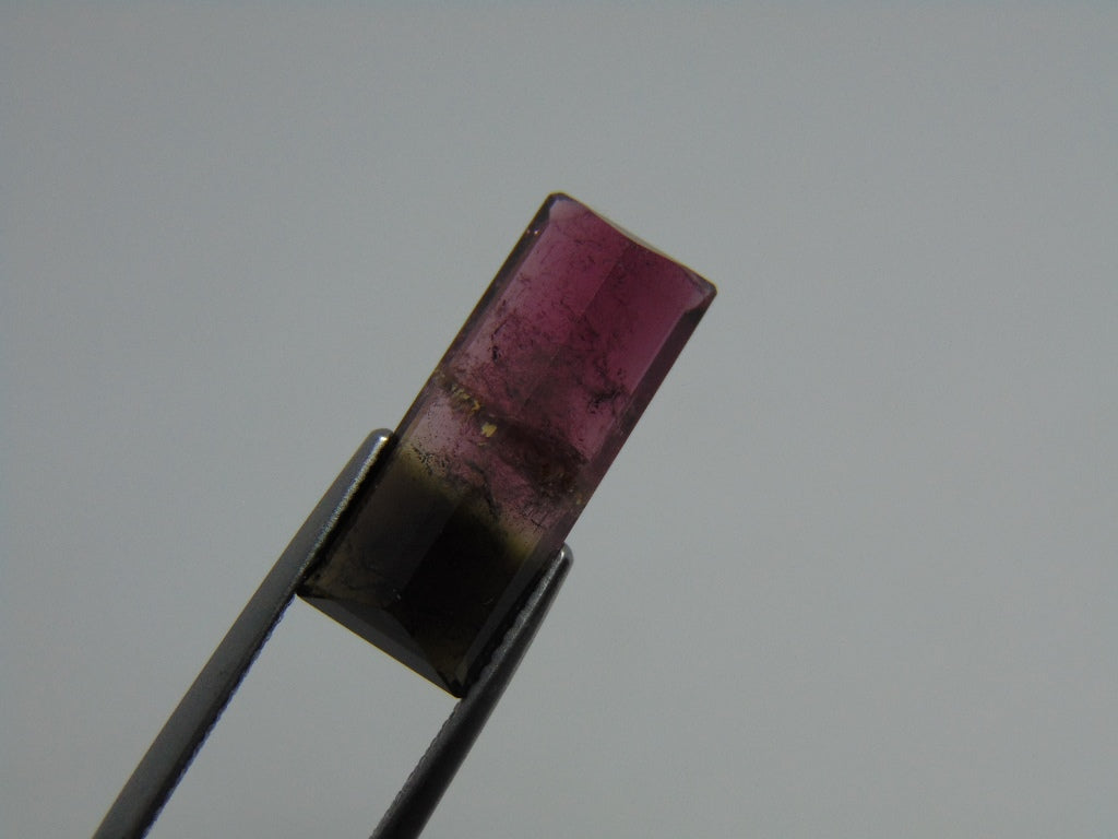 8cts Tourmaline (Bicolor)