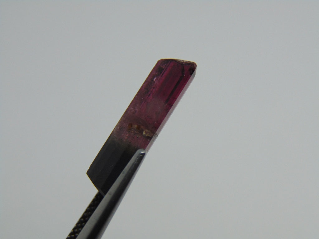 8cts Tourmaline (Bicolor)