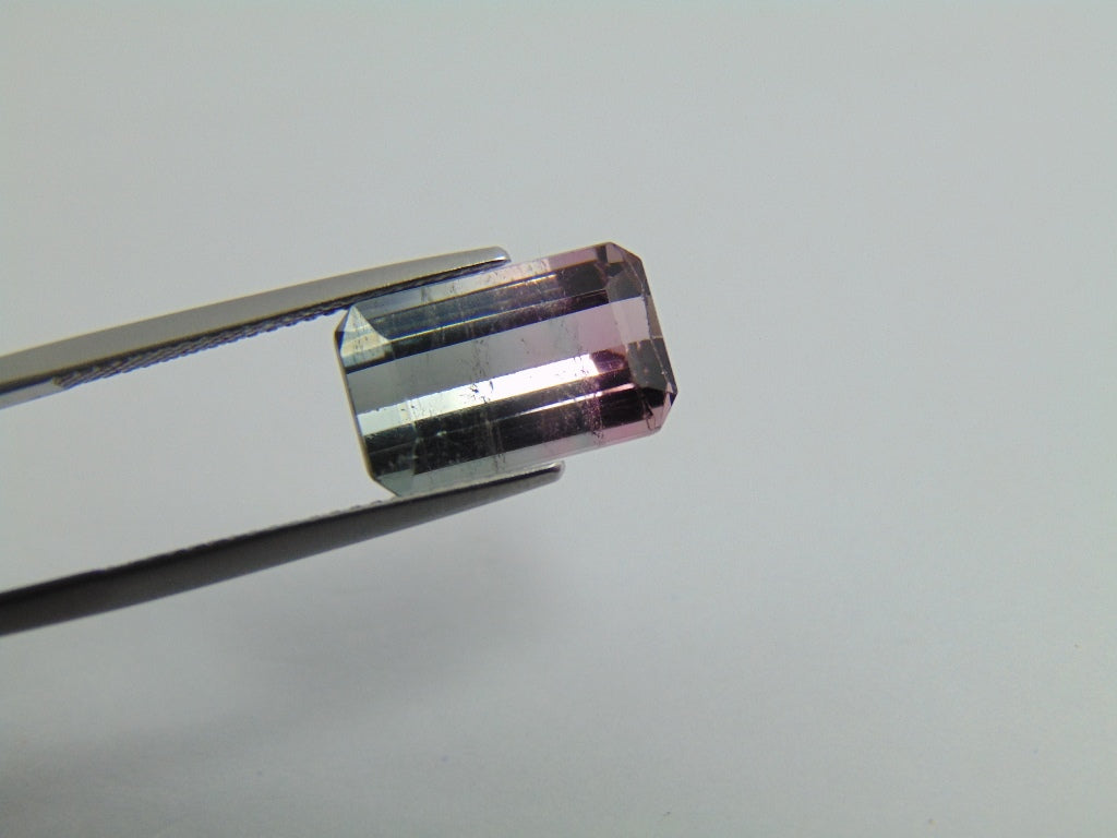 6.20cts Tourmaline (Bicolor)