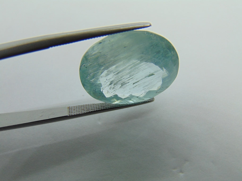 16.80ct Aquamarine With Needle 19x15mm
