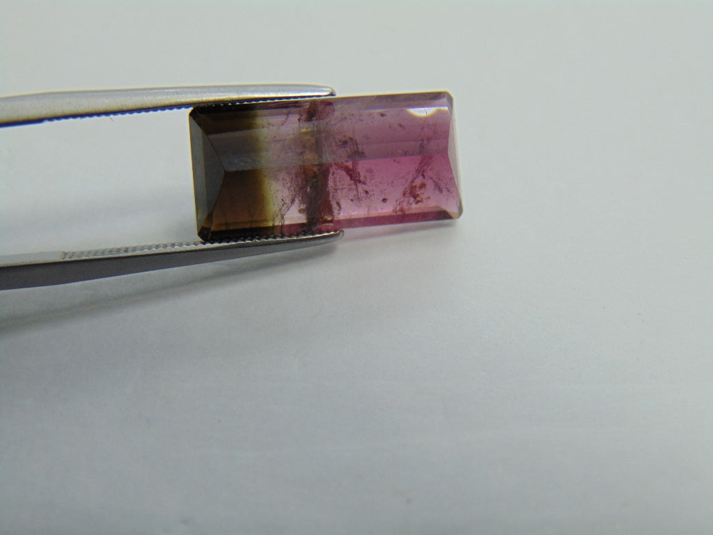 7.45ct Tourmaline Bicolor 18x8mm