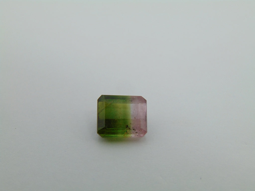 3.75cts Tourmaline (Bicolor)