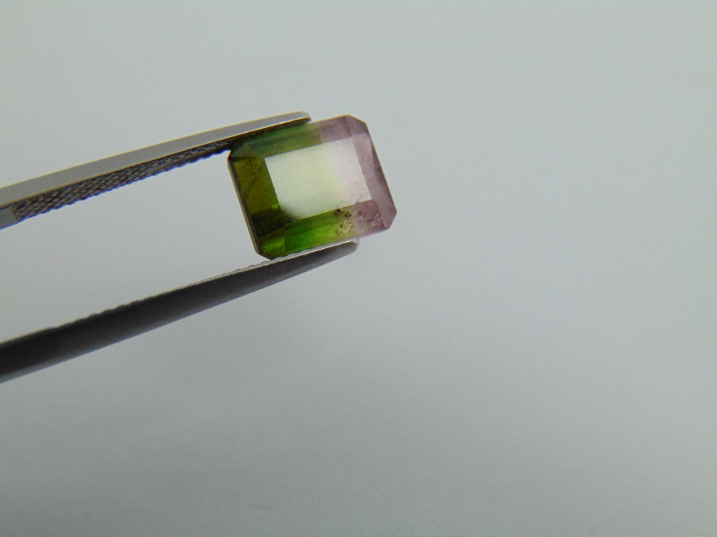 3.75cts Tourmaline (Bicolor)