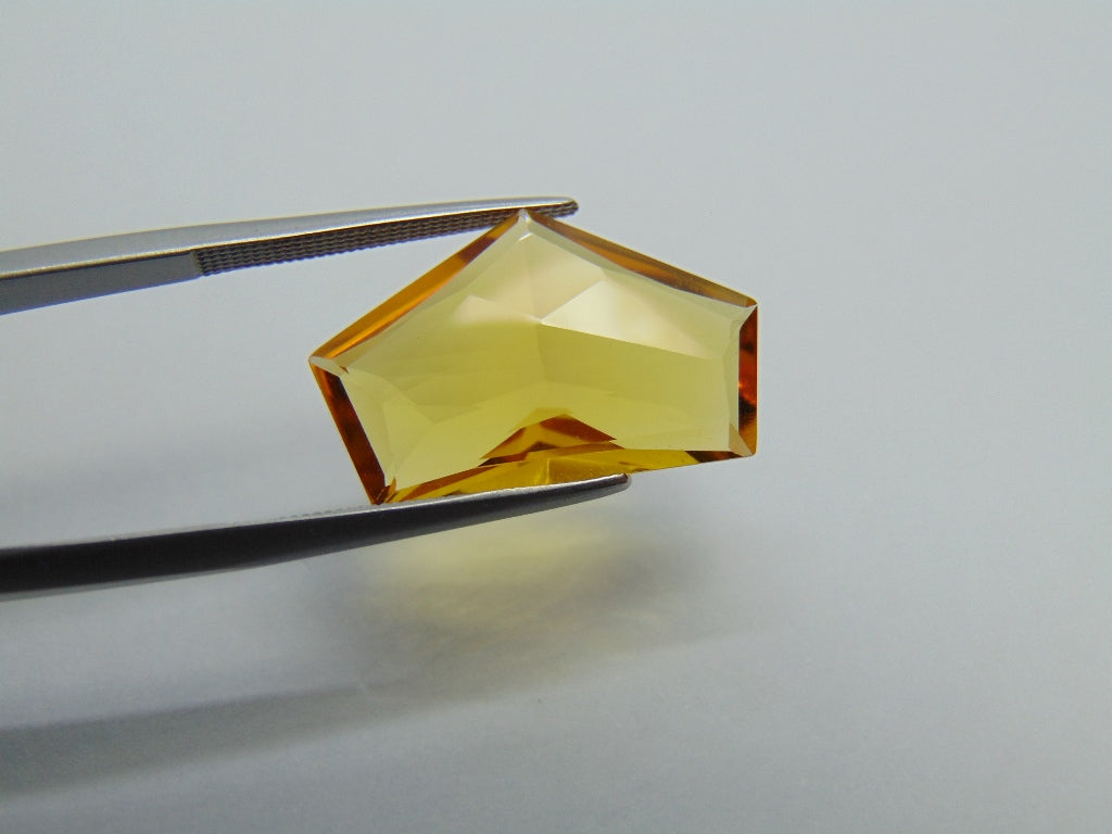 8.50ct Beryl 21x13mm