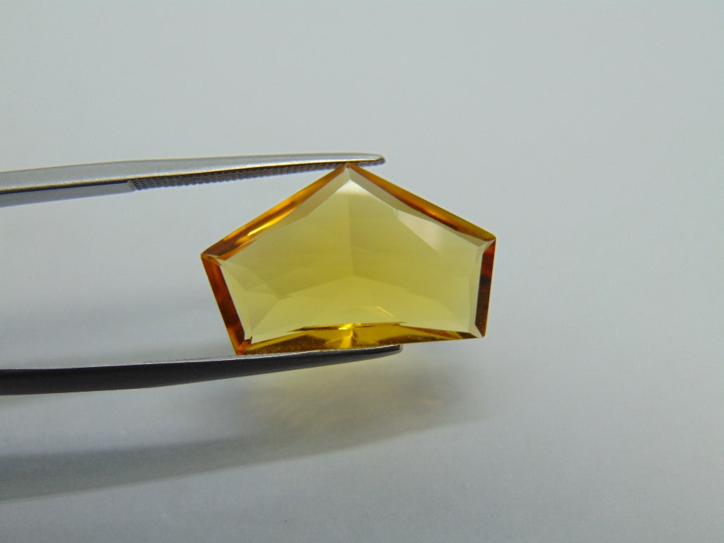 8.50ct Beryl 21x13mm