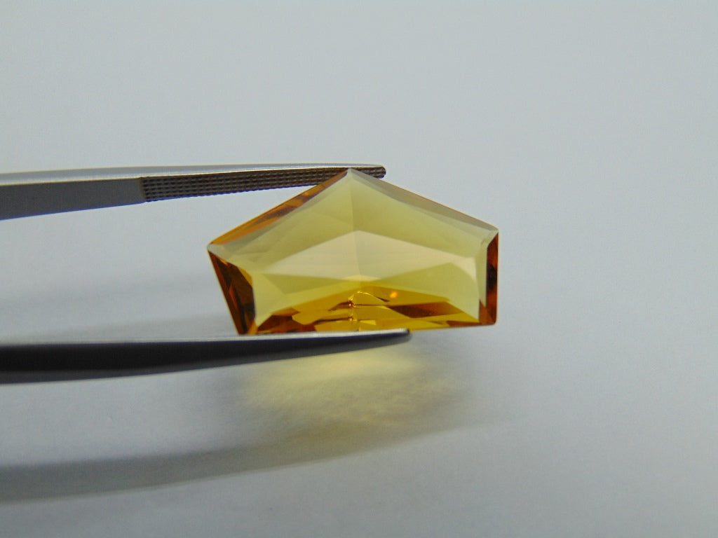 8.50ct Beryl 21x13mm