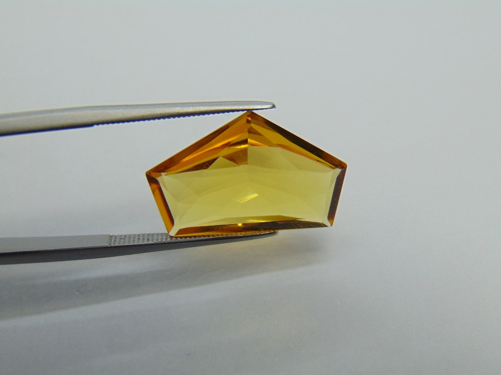 8.50ct Beryl 21x13mm