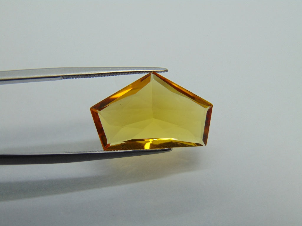 8.50ct Beryl 21x13mm