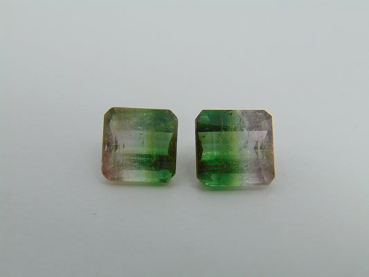 5.50cts Tourmaline (Bicolor)