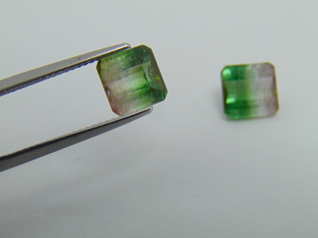 5.50cts Tourmaline (Bicolor)