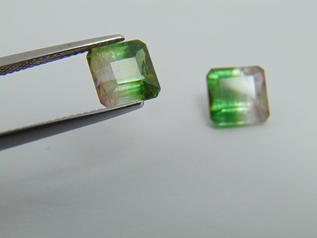 5.50cts Tourmaline (Bicolor)