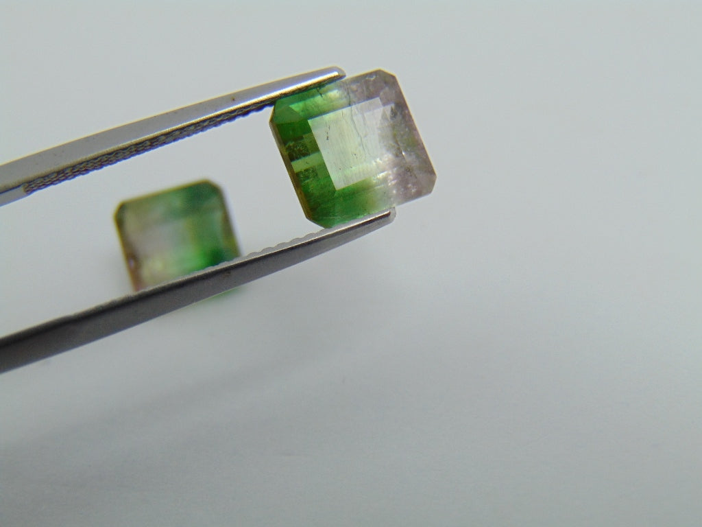 5.50cts Tourmaline (Bicolor)