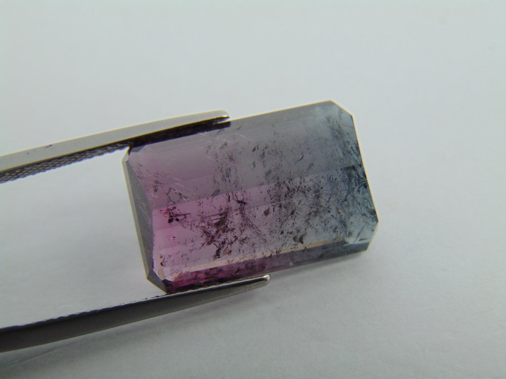 15.40cts Tourmaline (Bicolor)