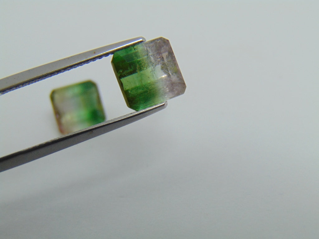 5.50cts Tourmaline (Bicolor)