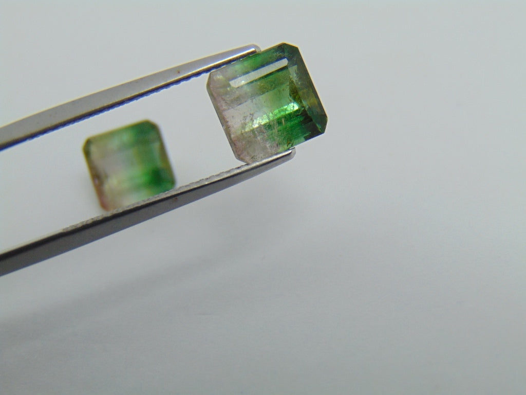 5.50cts Tourmaline (Bicolor)