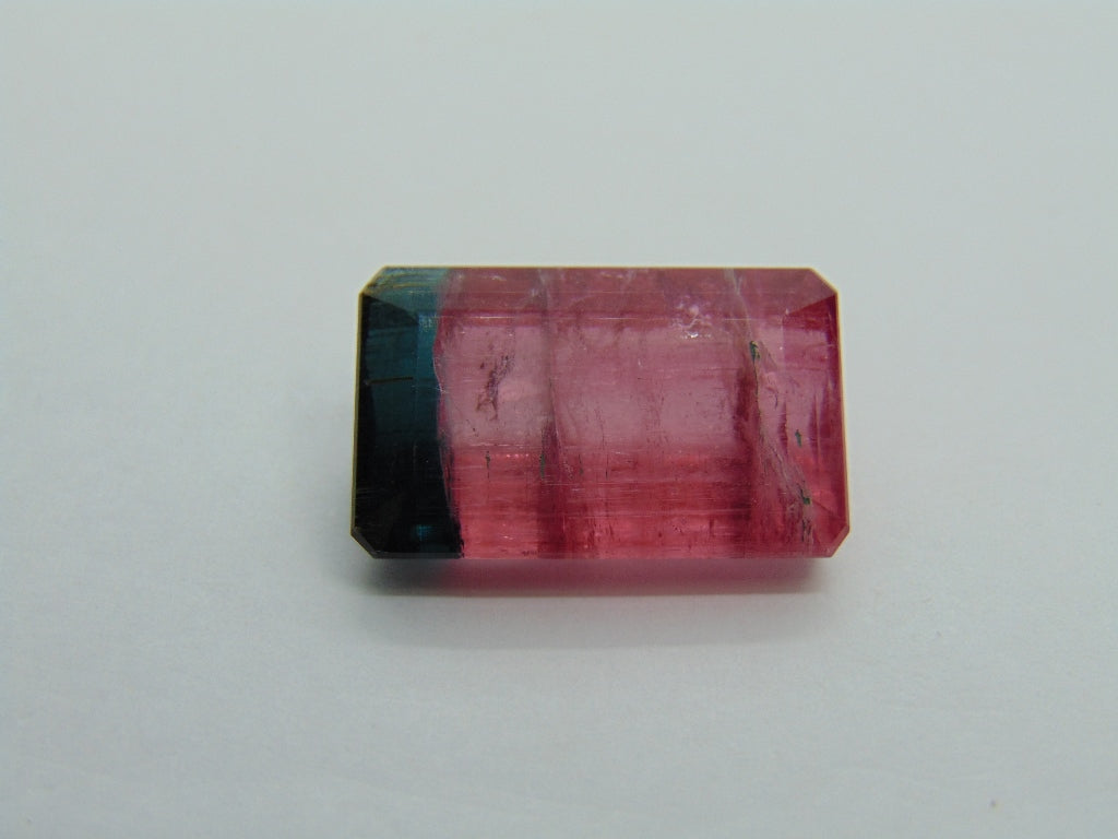 22.75ct Tourmaline Bicolor 21x13mm