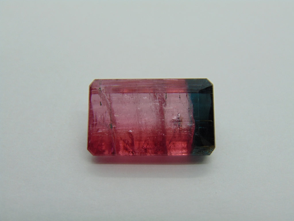 22.75ct Tourmaline Bicolor 21x13mm