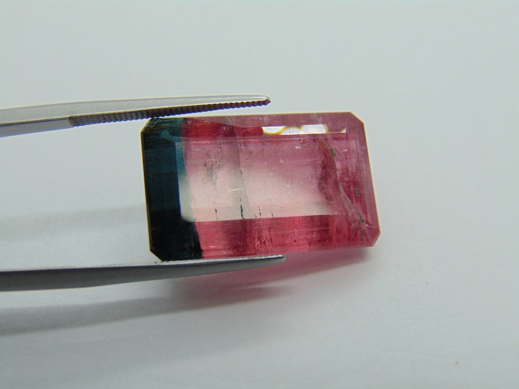 22.75ct Tourmaline Bicolor 21x13mm