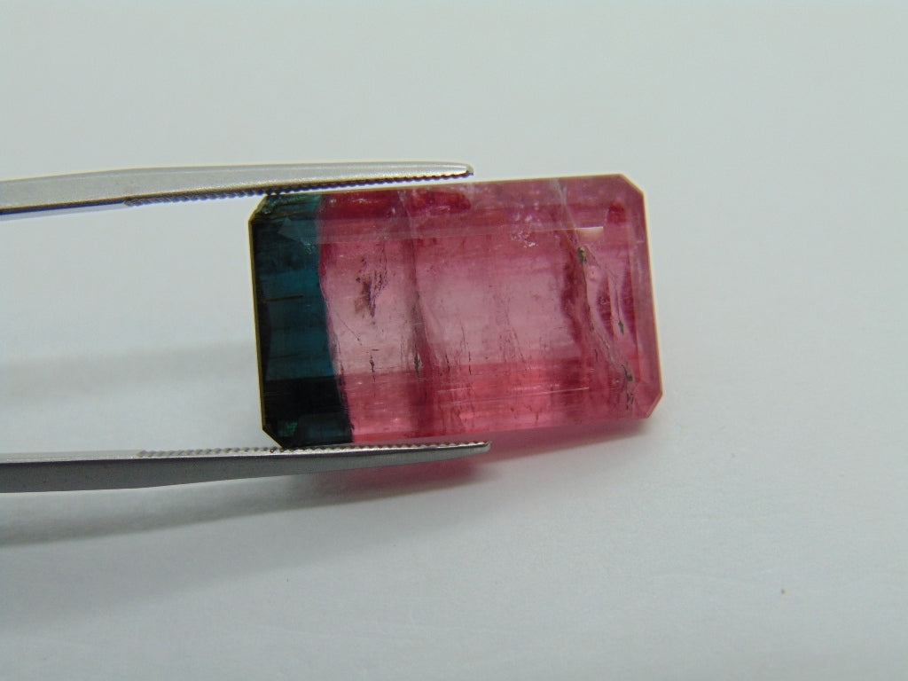 22.75ct Tourmaline Bicolor 21x13mm