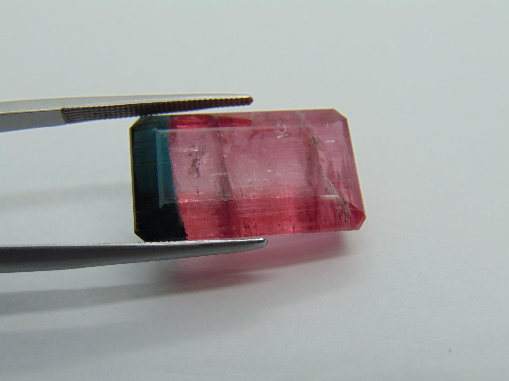 22.75ct Tourmaline Bicolor 21x13mm